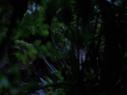 Filename=extant_StarTrekVoyager_4x04-Nemesis_0011.jpg
Filesize=116KiB
Dimensions=1200x900
Date added=May 30, 2018 extant_StarTrekVoyager_4x04-Nemesis_0011.jpg