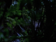 Filename=extant_StarTrekVoyager_4x04-Nemesis_0012.jpg
Filesize=119KiB
Dimensions=1200x900
Date added=May 30, 2018 extant_StarTrekVoyager_4x04-Nemesis_0012.jpg