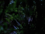 Filename=extant_StarTrekVoyager_4x04-Nemesis_0013.jpg
Filesize=120KiB
Dimensions=1200x900
Date added=May 30, 2018 extant_StarTrekVoyager_4x04-Nemesis_0013.jpg