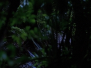 Filename=extant_StarTrekVoyager_4x04-Nemesis_0014.jpg
Filesize=121KiB
Dimensions=1200x900
Date added=May 30, 2018 extant_StarTrekVoyager_4x04-Nemesis_0014.jpg