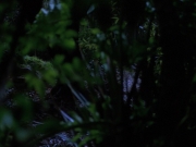 Filename=extant_StarTrekVoyager_4x04-Nemesis_0015.jpg
Filesize=122KiB
Dimensions=1200x900
Date added=May 30, 2018 extant_StarTrekVoyager_4x04-Nemesis_0015.jpg