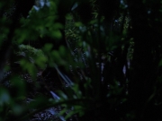 Filename=extant_StarTrekVoyager_4x04-Nemesis_0016.jpg
Filesize=117KiB
Dimensions=1200x900
Date added=May 30, 2018 extant_StarTrekVoyager_4x04-Nemesis_0016.jpg