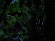 Filename=extant_StarTrekVoyager_4x04-Nemesis_0017.jpg
Filesize=115KiB
Dimensions=1200x900
Date added=May 30, 2018 extant_StarTrekVoyager_4x04-Nemesis_0017.jpg