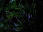 Filename=extant_StarTrekVoyager_4x04-Nemesis_0018.jpg
Filesize=115KiB
Dimensions=1200x900
Date added=May 30, 2018 extant_StarTrekVoyager_4x04-Nemesis_0018.jpg