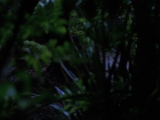 Filename=extant_StarTrekVoyager_4x04-Nemesis_0019.jpg
Filesize=118KiB
Dimensions=1200x900
Date added=May 30, 2018 extant_StarTrekVoyager_4x04-Nemesis_0019.jpg