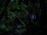 Filename=extant_StarTrekVoyager_4x04-Nemesis_0020.jpg
Filesize=118KiB
Dimensions=1200x900
Date added=May 30, 2018 extant_StarTrekVoyager_4x04-Nemesis_0020.jpg