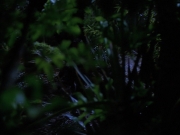 Filename=extant_StarTrekVoyager_4x04-Nemesis_0021.jpg
Filesize=119KiB
Dimensions=1200x900
Date added=May 30, 2018 extant_StarTrekVoyager_4x04-Nemesis_0021.jpg