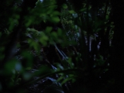 Filename=extant_StarTrekVoyager_4x04-Nemesis_0022.jpg
Filesize=118KiB
Dimensions=1200x900
Date added=May 30, 2018 extant_StarTrekVoyager_4x04-Nemesis_0022.jpg