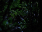 Filename=extant_StarTrekVoyager_4x04-Nemesis_0023.jpg
Filesize=120KiB
Dimensions=1200x900
Date added=May 30, 2018 extant_StarTrekVoyager_4x04-Nemesis_0023.jpg