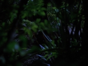 Filename=extant_StarTrekVoyager_4x04-Nemesis_0024.jpg
Filesize=118KiB
Dimensions=1200x900
Date added=May 30, 2018 extant_StarTrekVoyager_4x04-Nemesis_0024.jpg