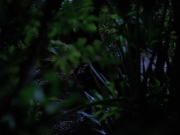 Filename=extant_StarTrekVoyager_4x04-Nemesis_0025.jpg
Filesize=117KiB
Dimensions=1200x900
Date added=May 30, 2018 extant_StarTrekVoyager_4x04-Nemesis_0025.jpg