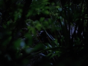 Filename=extant_StarTrekVoyager_4x04-Nemesis_0026.jpg
Filesize=115KiB
Dimensions=1200x900
Date added=May 30, 2018 extant_StarTrekVoyager_4x04-Nemesis_0026.jpg