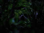 Filename=extant_StarTrekVoyager_4x04-Nemesis_0027.jpg
Filesize=114KiB
Dimensions=1200x900
Date added=May 30, 2018 extant_StarTrekVoyager_4x04-Nemesis_0027.jpg