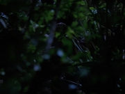 Filename=extant_StarTrekVoyager_4x04-Nemesis_0029.jpg
Filesize=114KiB
Dimensions=1200x900
Date added=May 30, 2018 extant_StarTrekVoyager_4x04-Nemesis_0029.jpg
