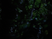 Filename=extant_StarTrekVoyager_4x04-Nemesis_0031.jpg
Filesize=104KiB
Dimensions=1200x900
Date added=May 30, 2018 extant_StarTrekVoyager_4x04-Nemesis_0031.jpg