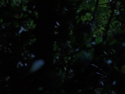 Filename=extant_StarTrekVoyager_4x04-Nemesis_0032.jpg
Filesize=105KiB
Dimensions=1200x900
Date added=May 30, 2018 extant_StarTrekVoyager_4x04-Nemesis_0032.jpg
