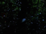 Filename=extant_StarTrekVoyager_4x04-Nemesis_0033.jpg
Filesize=104KiB
Dimensions=1200x900
Date added=May 30, 2018 extant_StarTrekVoyager_4x04-Nemesis_0033.jpg
