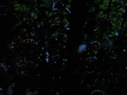 Filename=extant_StarTrekVoyager_4x04-Nemesis_0034.jpg
Filesize=108KiB
Dimensions=1200x900
Date added=May 30, 2018 extant_StarTrekVoyager_4x04-Nemesis_0034.jpg
