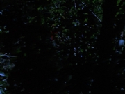 Filename=extant_StarTrekVoyager_4x04-Nemesis_0036.jpg
Filesize=113KiB
Dimensions=1200x900
Date added=May 30, 2018 extant_StarTrekVoyager_4x04-Nemesis_0036.jpg