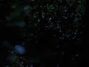 Filename=extant_StarTrekVoyager_4x04-Nemesis_0037.jpg
Filesize=114KiB
Dimensions=1200x900
Date added=May 30, 2018 extant_StarTrekVoyager_4x04-Nemesis_0037.jpg