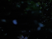 Filename=extant_StarTrekVoyager_4x04-Nemesis_0038.jpg
Filesize=99KiB
Dimensions=1200x900
Date added=May 30, 2018 extant_StarTrekVoyager_4x04-Nemesis_0038.jpg