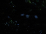 Filename=extant_StarTrekVoyager_4x04-Nemesis_0039.jpg
Filesize=90KiB
Dimensions=1200x900
Date added=May 30, 2018 extant_StarTrekVoyager_4x04-Nemesis_0039.jpg