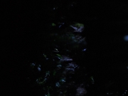 Filename=extant_StarTrekVoyager_4x04-Nemesis_0040.jpg
Filesize=79KiB
Dimensions=1200x900
Date added=May 30, 2018 extant_StarTrekVoyager_4x04-Nemesis_0040.jpg