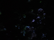 Filename=extant_StarTrekVoyager_4x04-Nemesis_0041.jpg
Filesize=81KiB
Dimensions=1200x900
Date added=May 30, 2018 extant_StarTrekVoyager_4x04-Nemesis_0041.jpg