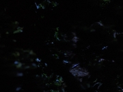 Filename=extant_StarTrekVoyager_4x04-Nemesis_0042.jpg
Filesize=88KiB
Dimensions=1200x900
Date added=May 30, 2018 extant_StarTrekVoyager_4x04-Nemesis_0042.jpg