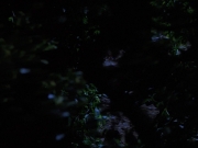 Filename=extant_StarTrekVoyager_4x04-Nemesis_0043.jpg
Filesize=98KiB
Dimensions=1200x900
Date added=May 30, 2018 extant_StarTrekVoyager_4x04-Nemesis_0043.jpg
