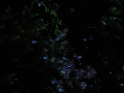 Filename=extant_StarTrekVoyager_4x04-Nemesis_0044.jpg
Filesize=103KiB
Dimensions=1200x900
Date added=May 30, 2018 extant_StarTrekVoyager_4x04-Nemesis_0044.jpg