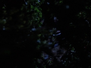 Filename=extant_StarTrekVoyager_4x04-Nemesis_0045.jpg
Filesize=99KiB
Dimensions=1200x900
Date added=May 30, 2018 extant_StarTrekVoyager_4x04-Nemesis_0045.jpg
