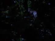 Filename=extant_StarTrekVoyager_4x04-Nemesis_0046.jpg
Filesize=96KiB
Dimensions=1200x900
Date added=May 30, 2018 extant_StarTrekVoyager_4x04-Nemesis_0046.jpg