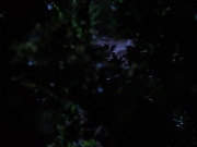 Filename=extant_StarTrekVoyager_4x04-Nemesis_0047.jpg
Filesize=99KiB
Dimensions=1200x900
Date added=May 30, 2018 extant_StarTrekVoyager_4x04-Nemesis_0047.jpg