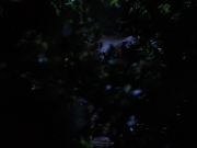 Filename=extant_StarTrekVoyager_4x04-Nemesis_0048.jpg
Filesize=90KiB
Dimensions=1200x900
Date added=May 30, 2018 extant_StarTrekVoyager_4x04-Nemesis_0048.jpg