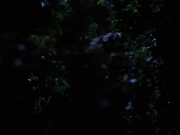 Filename=extant_StarTrekVoyager_4x04-Nemesis_0049.jpg
Filesize=93KiB
Dimensions=1200x900
Date added=May 30, 2018 extant_StarTrekVoyager_4x04-Nemesis_0049.jpg
