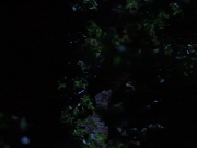 Filename=extant_StarTrekVoyager_4x04-Nemesis_0051.jpg
Filesize=96KiB
Dimensions=1200x900
Date added=May 30, 2018 extant_StarTrekVoyager_4x04-Nemesis_0051.jpg