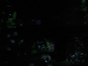 Filename=extant_StarTrekVoyager_4x04-Nemesis_0052.jpg
Filesize=87KiB
Dimensions=1200x900
Date added=May 30, 2018 extant_StarTrekVoyager_4x04-Nemesis_0052.jpg