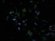 Filename=extant_StarTrekVoyager_4x04-Nemesis_0053.jpg
Filesize=90KiB
Dimensions=1200x900
Date added=May 30, 2018 extant_StarTrekVoyager_4x04-Nemesis_0053.jpg