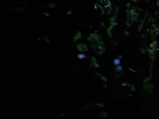 Filename=extant_StarTrekVoyager_4x04-Nemesis_0054.jpg
Filesize=86KiB
Dimensions=1200x900
Date added=May 30, 2018 extant_StarTrekVoyager_4x04-Nemesis_0054.jpg