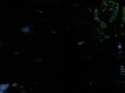 Filename=extant_StarTrekVoyager_4x04-Nemesis_0055.jpg
Filesize=79KiB
Dimensions=1200x900
Date added=May 30, 2018 extant_StarTrekVoyager_4x04-Nemesis_0055.jpg
