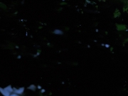 Filename=extant_StarTrekVoyager_4x04-Nemesis_0056.jpg
Filesize=72KiB
Dimensions=1200x900
Date added=May 30, 2018 extant_StarTrekVoyager_4x04-Nemesis_0056.jpg