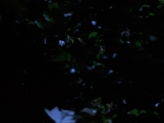 Filename=extant_StarTrekVoyager_4x04-Nemesis_0058.jpg
Filesize=82KiB
Dimensions=1200x900
Date added=May 30, 2018 extant_StarTrekVoyager_4x04-Nemesis_0058.jpg