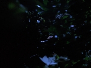 Filename=extant_StarTrekVoyager_4x04-Nemesis_0059.jpg
Filesize=99KiB
Dimensions=1200x900
Date added=May 30, 2018 extant_StarTrekVoyager_4x04-Nemesis_0059.jpg
