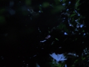 Filename=extant_StarTrekVoyager_4x04-Nemesis_0060.jpg
Filesize=97KiB
Dimensions=1200x900
Date added=May 30, 2018 extant_StarTrekVoyager_4x04-Nemesis_0060.jpg