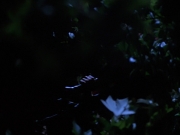 Filename=extant_StarTrekVoyager_4x04-Nemesis_0061.jpg
Filesize=95KiB
Dimensions=1200x900
Date added=May 30, 2018 extant_StarTrekVoyager_4x04-Nemesis_0061.jpg