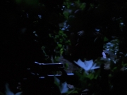 Filename=extant_StarTrekVoyager_4x04-Nemesis_0063.jpg
Filesize=105KiB
Dimensions=1200x900
Date added=May 30, 2018 extant_StarTrekVoyager_4x04-Nemesis_0063.jpg
