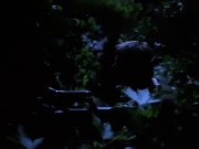 Filename=extant_StarTrekVoyager_4x04-Nemesis_0064.jpg
Filesize=106KiB
Dimensions=1200x900
Date added=May 30, 2018 extant_StarTrekVoyager_4x04-Nemesis_0064.jpg