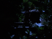 Filename=extant_StarTrekVoyager_4x04-Nemesis_0065.jpg
Filesize=103KiB
Dimensions=1200x900
Date added=May 30, 2018 extant_StarTrekVoyager_4x04-Nemesis_0065.jpg