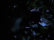 Filename=extant_StarTrekVoyager_4x04-Nemesis_0066.jpg
Filesize=99KiB
Dimensions=1200x900
Date added=May 30, 2018 extant_StarTrekVoyager_4x04-Nemesis_0066.jpg